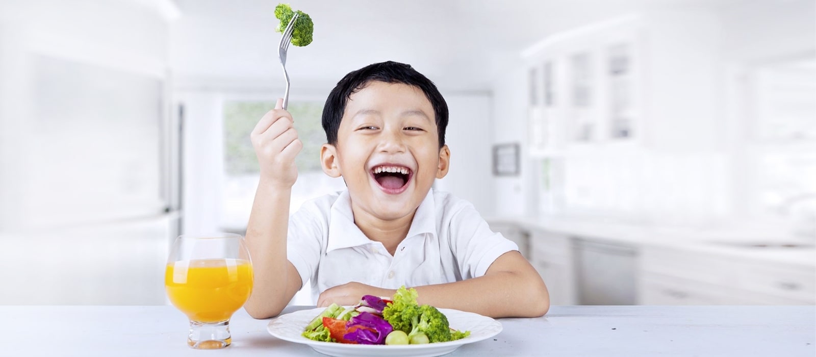 Your Toddler's Appetite | Wyeth Nutrition SG