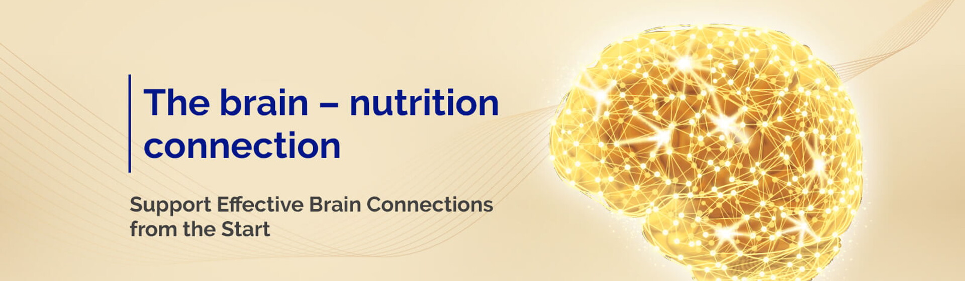 The brain nutrition connection