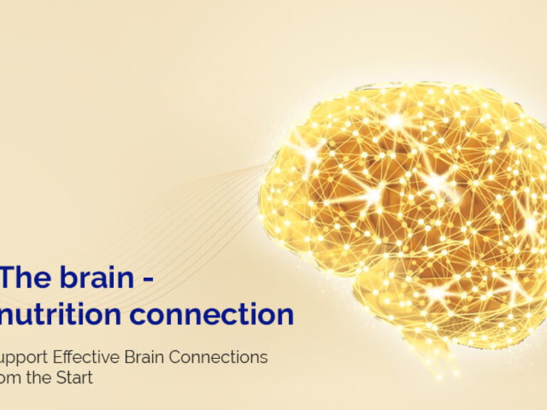 The brain nutrition connection