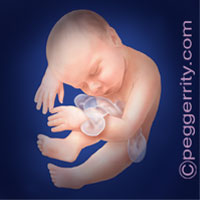 Trimester3-Week35 Trimester3-Week35